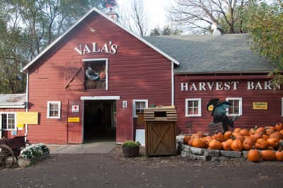 Vala's Harvest Barn